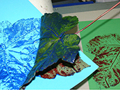 Im Museum zum Mitmachen "Naturdruck" werden Blätter von Laubbäumen eingefärbt und auf buntes Papier gedruckt