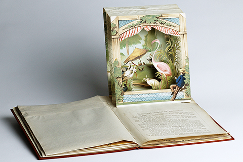 Ein Pop-up Buch für Kinder mit der herausgeklappten Abbildung eines Mannes, der Störche und Flamingos betrachtet